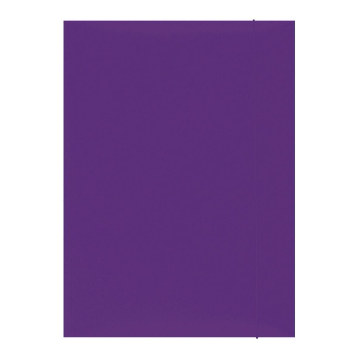 CHEMISE A RABATS ELAS. A4 VIOLET 21191131-09 