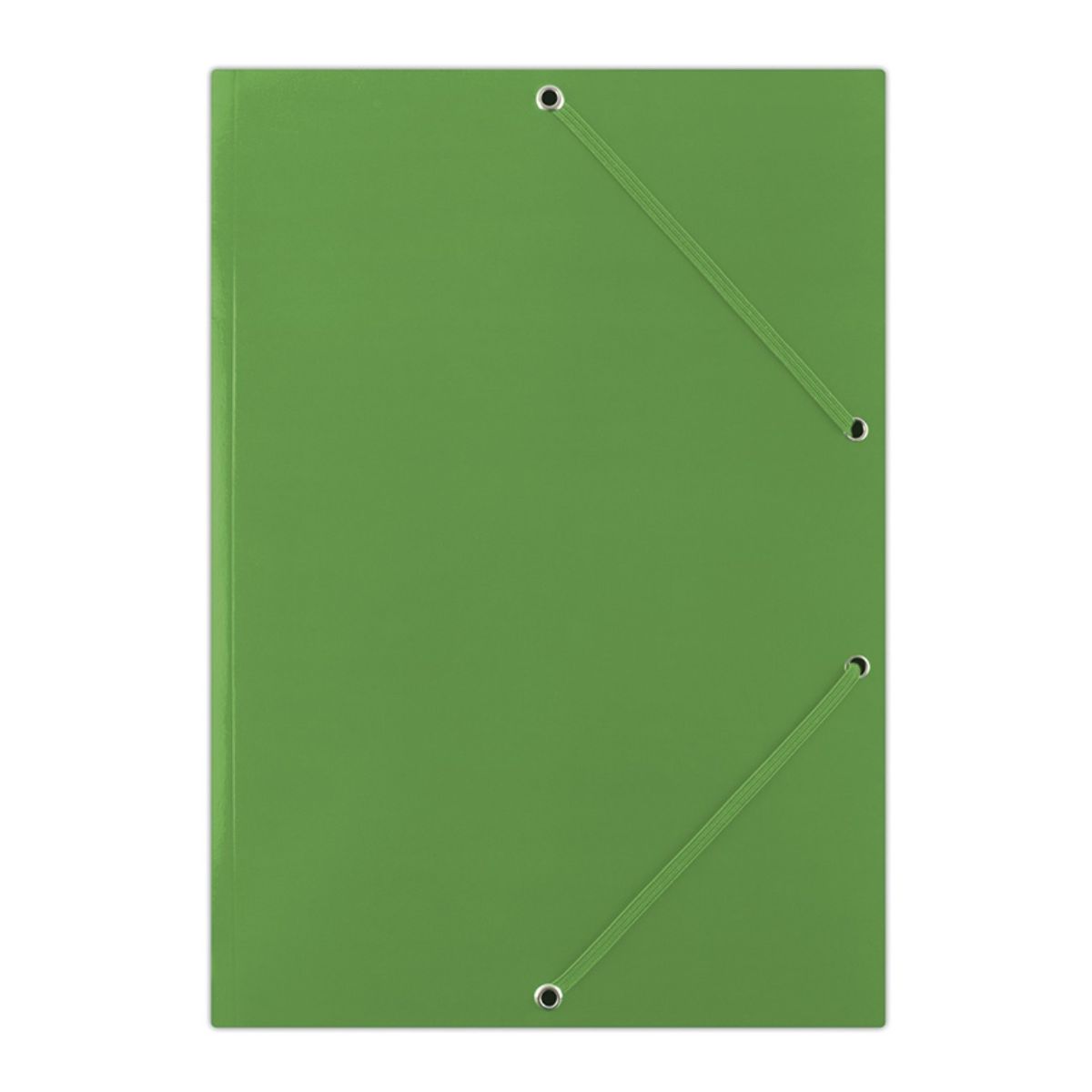 CHEMISE A RABATS ELAS. A4 VERT FEP06G 