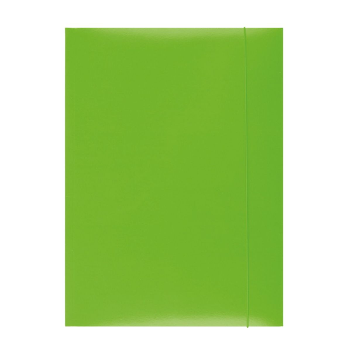 CHEMISE A RABATS ELAS. A4 VERT 21191131-02 